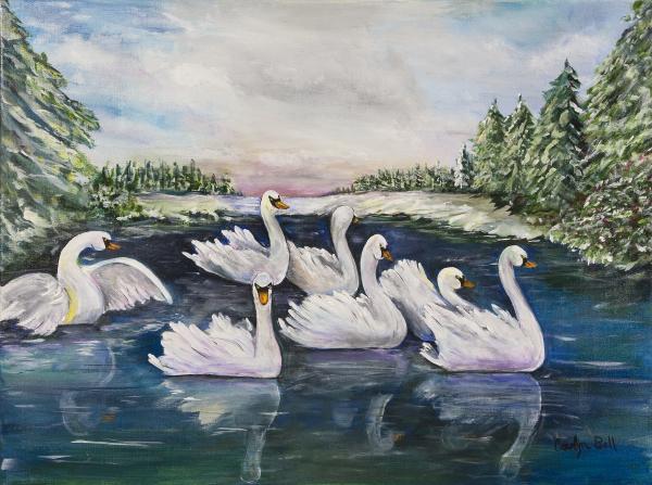 7 swans a swimming