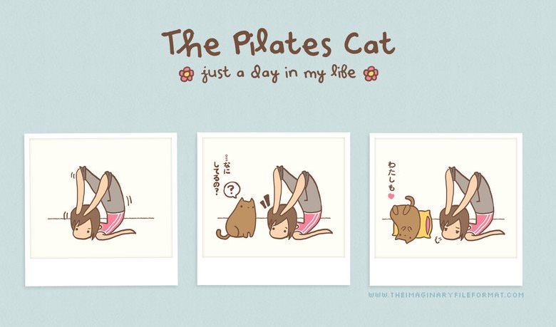 pilates cat